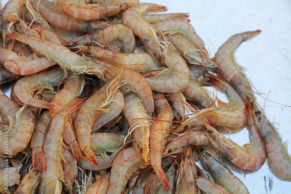 Piles of frozen prawns