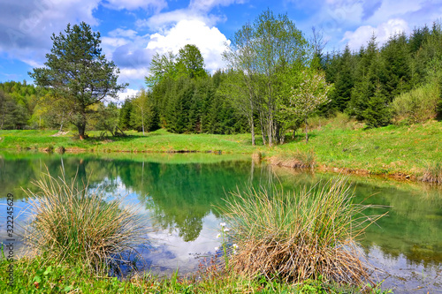 Pond in the forest at spring time   Low Beskids  Beskid Niski   Poland