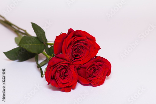 Three red roses with green leaves lay on white background with copy space. Greeting template.