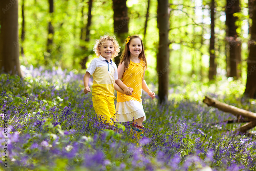 Fototapeta premium Kids in bluebell woods. Children play in park.