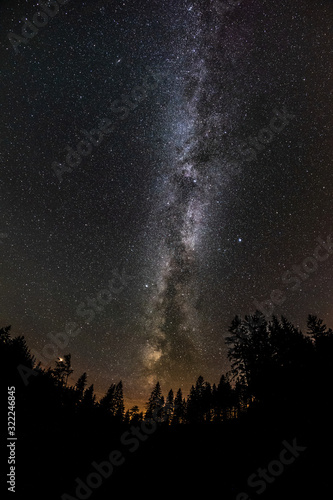 Milky Way and tree on the Beskydy mountains in Czech Republic.