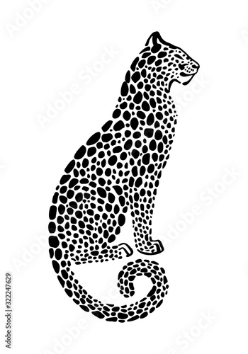 Jaguar spotted silhouette. Vector sitting wildcat graphic illustration. Black isolated on white background.