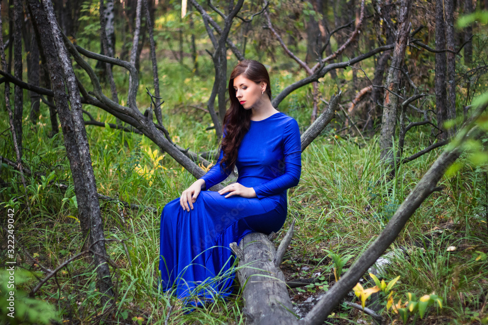 Beautiful, young girl in a blue dress is sitting on a fallen tree in ...