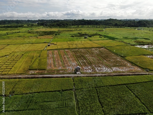Tableau sur toile Kuching, Sarawak / Malaysia - February 11, 2020:  A top down aerial view of a paddy field with farmers at work