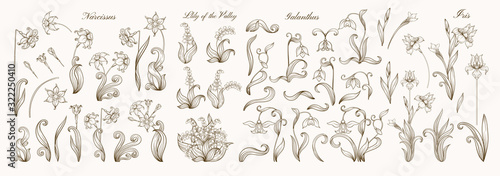 Fototapeta Naklejka Na Ścianę i Meble -  Set of spring flowers: iris, lily of the valley, snowdrop, daffodil. In art nouveau style, vintage, old, retro style. Outline vector illustration.
