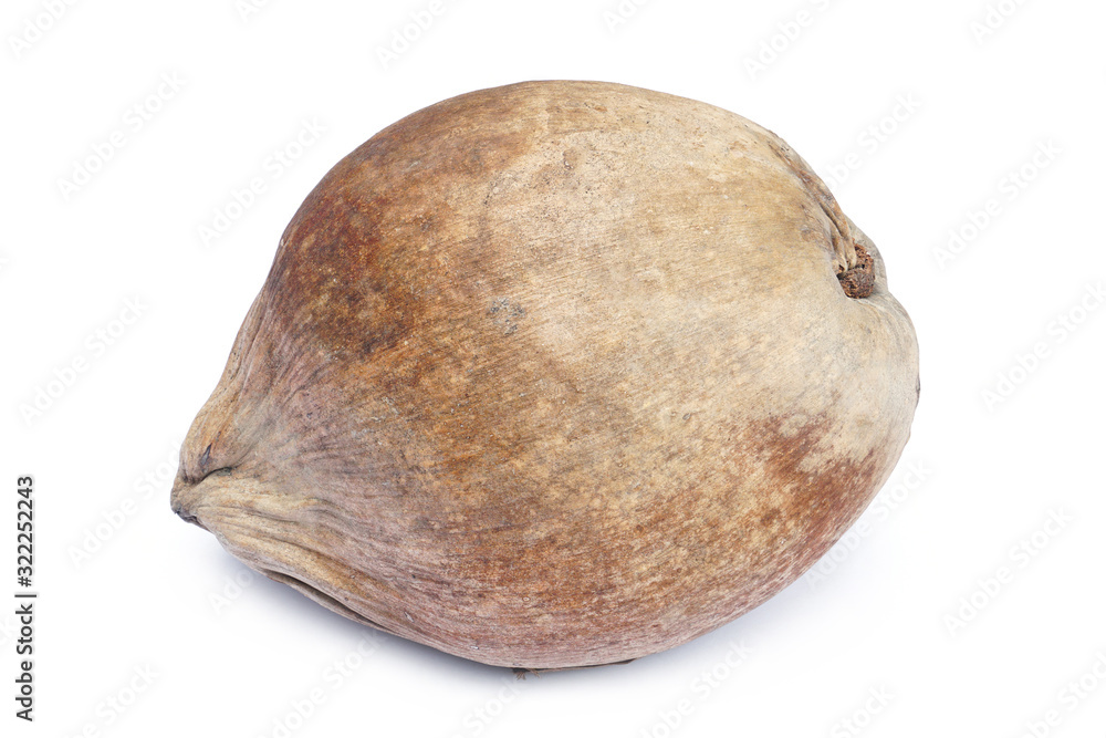 Whole coconut isolated on white background with clipping path. Whole coconut isolated on white background with clipping path.