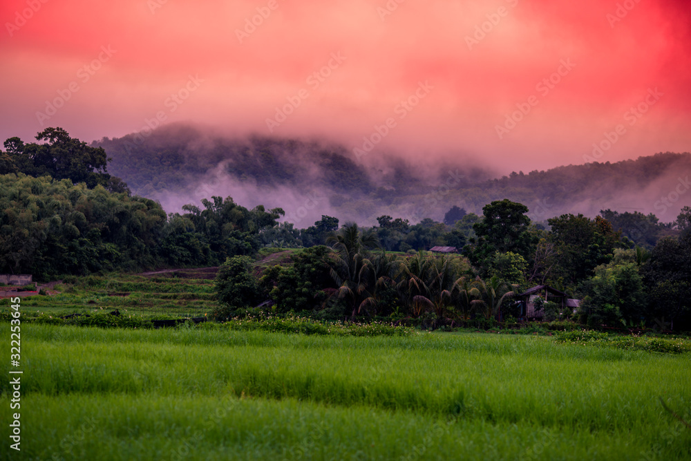 Abstract background of blurred morning nature,green rice fields and surrounded mountains and colorful sky