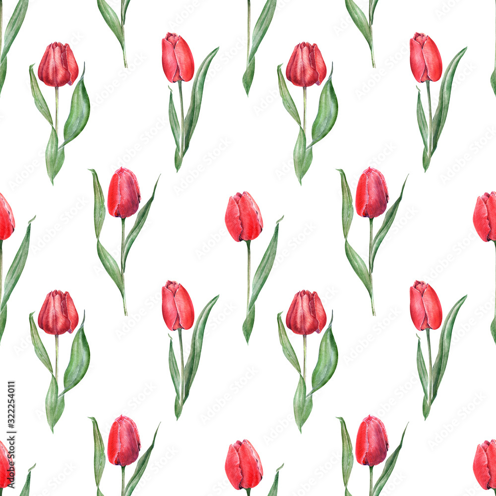 Watercolor seamless pattern with elegant red tulips. Buds, flowers and leaves Watercolor seamless pattern with elegant red tulips. Buds, flowers and leaves