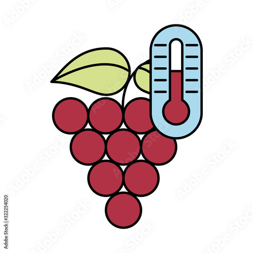 grapes fresh fruits isolated icon