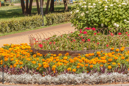 Flowerbed in the summer park