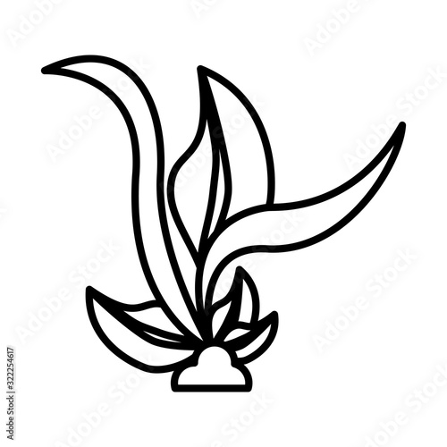 plant ecology cultivating isolated icon