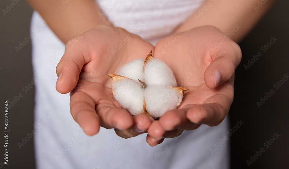 Close-up, decorative cotton in sophisticated white women's hands. Close-up, decorative cotton in sophisticated white women's hands.