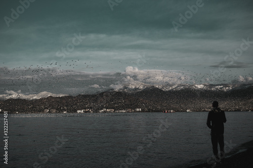 A young man watches from the shore for the return of fishing ships to the port.Silhouettes of many birds on a background of aquamarine sky.