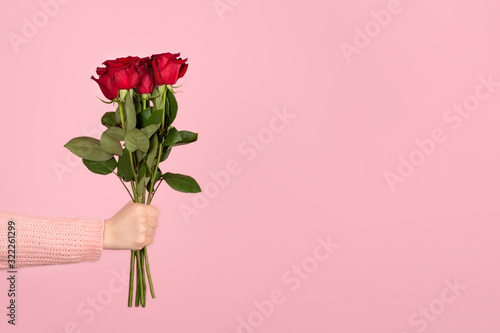 Fototapeta Naklejka Na Ścianę i Meble -  Beautiful bouquet of red roses in a woman hand on light pink background.
