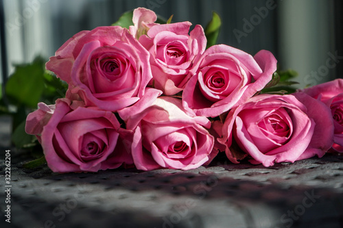 beautiful pink roses on a brown background in the sunshine