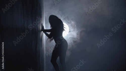 Sexy young woman dancing in high heels. Erotic dancer demonstrating her perfect sensual body. Silhouette. Slow motion