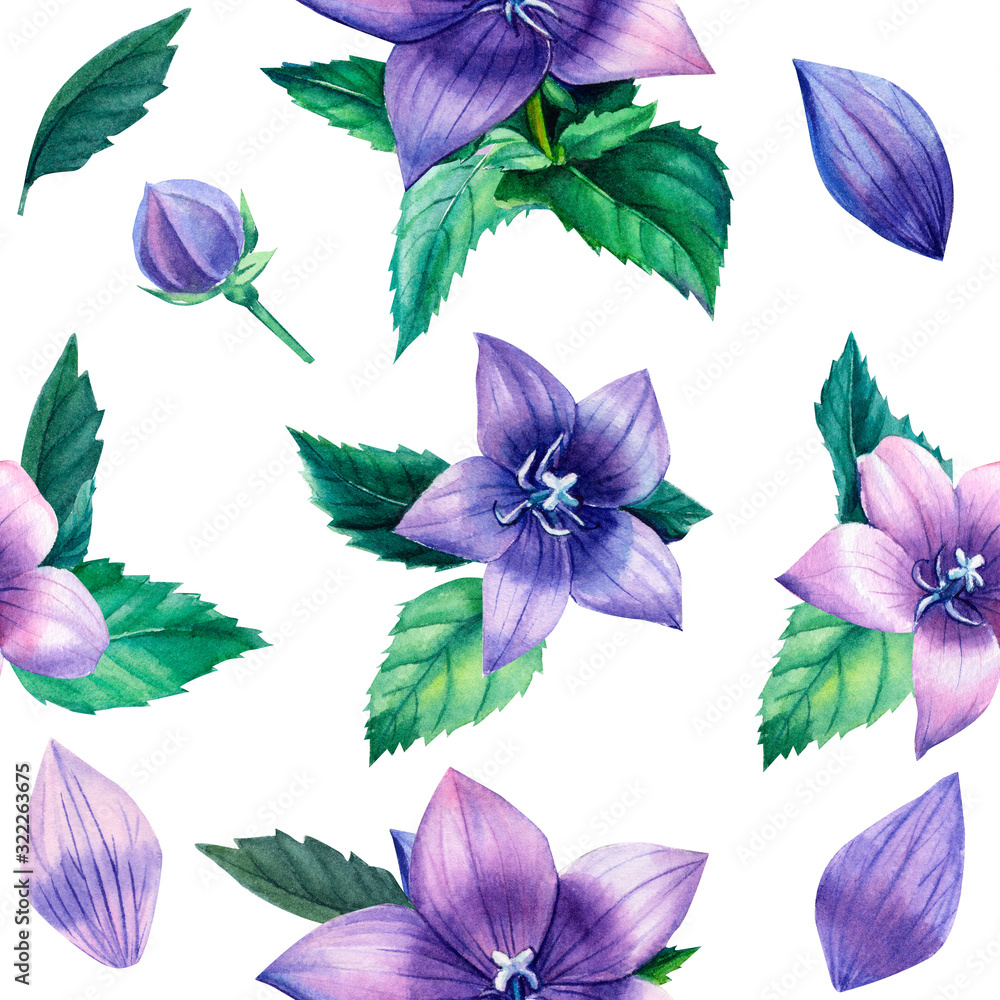 Seamless pattern, flower bluebell Campanula on isolated white background, watercolor flowers, botanical illustration, Mother's day