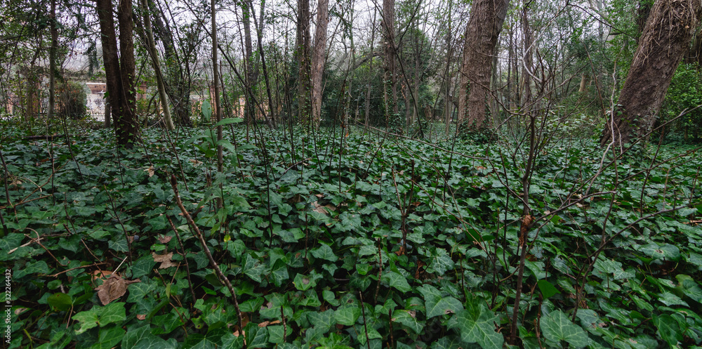Landscape of Campo Grande park in Valladolid, Spain.