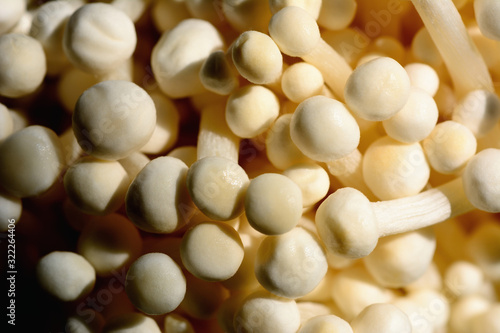 Closeup golden needle mushroom or enoki mushroom