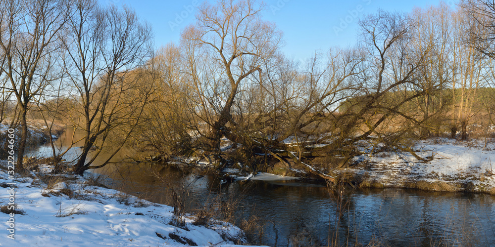 Walking through the forest, beautiful panorama. Walking through the forest, beautiful panorama.