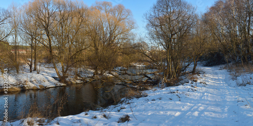 Walking through the forest, beautiful panorama.