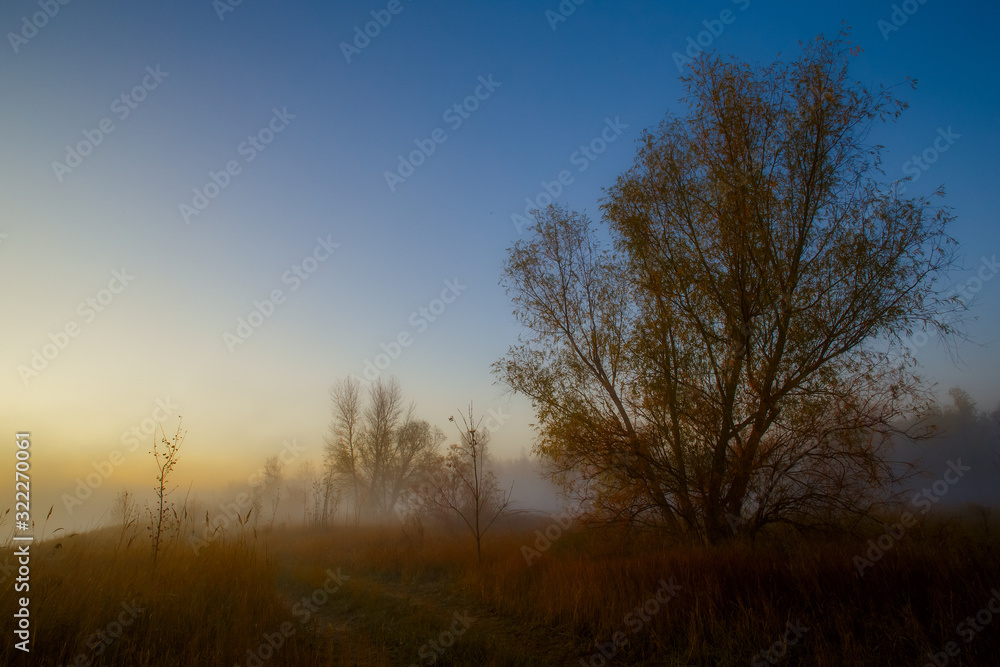 autumn misty morning landscape autumn misty morning landscape