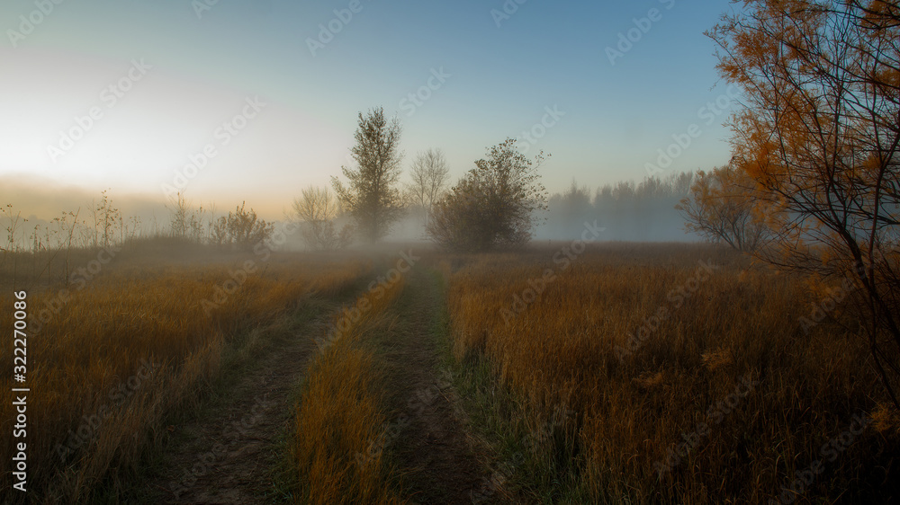 Fototapeta premium autumn misty morning landscape