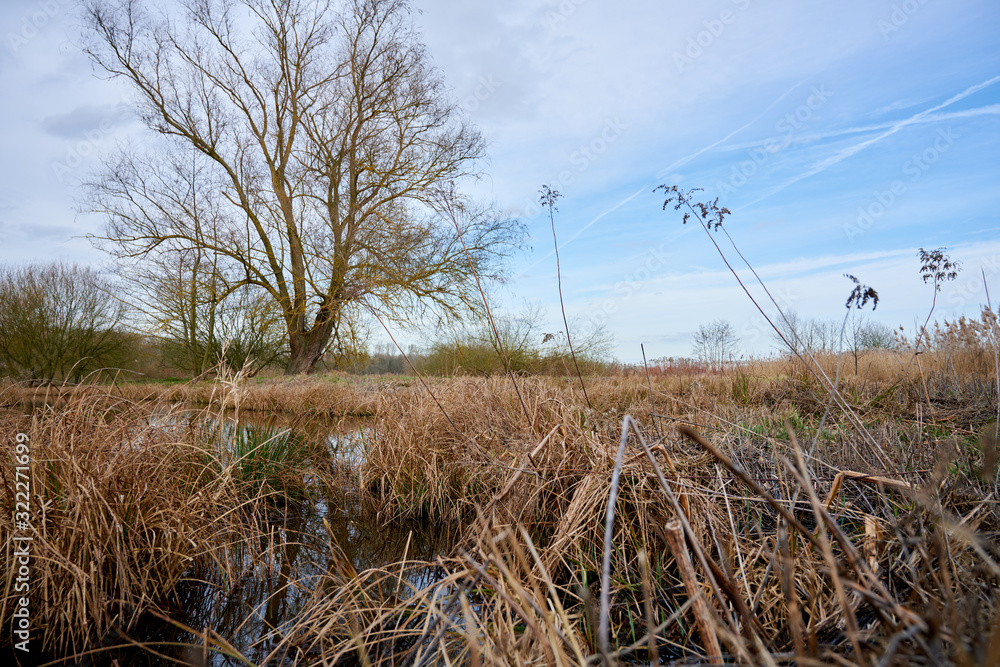 Obraz premium Étangs