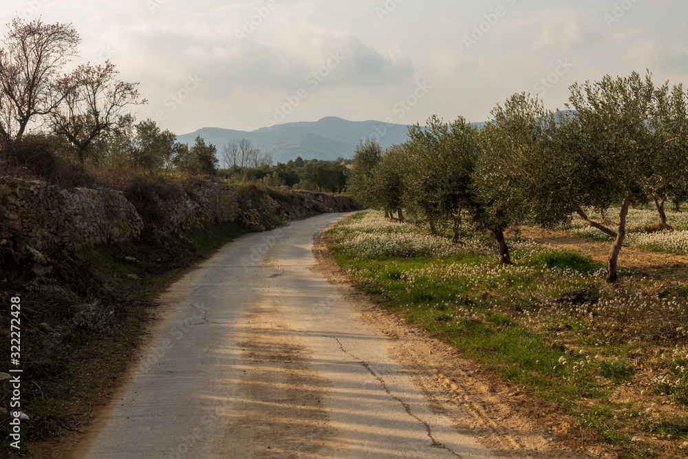 The surroundings of the town of Sant Mateu