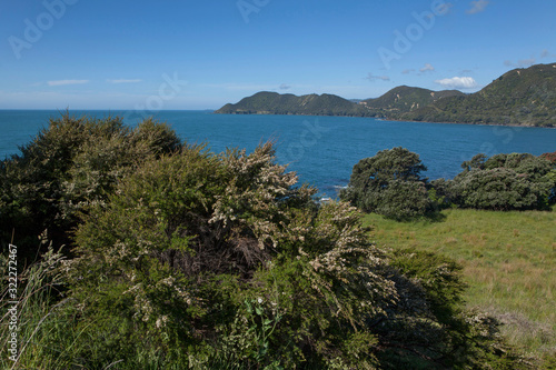 Fototapeta Naklejka Na Ścianę i Meble -  Bay of Plenty New Zealand coastline ocean