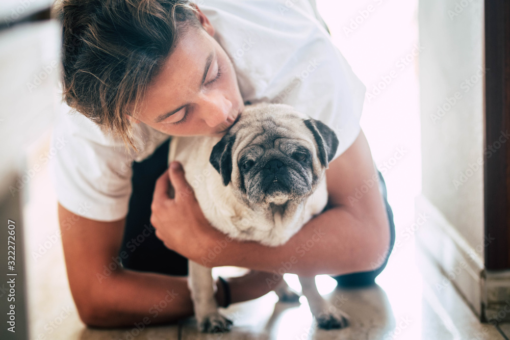 couple of teenager and cute white pug - love and affection of two best frieds at home - loving the animals couple of teenager and cute white pug - love and affection of two best frieds at home - loving the animals