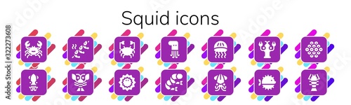 squid icon set