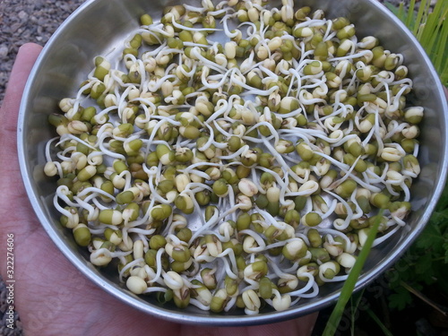 green gram sprouts  in a bowl