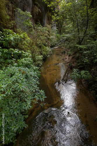 Mangapohue Natural Bridge Forest New Zealand river photo