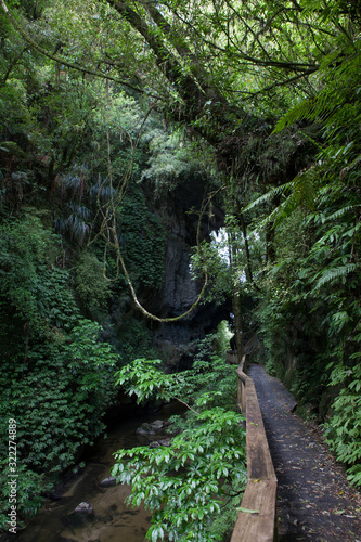 Mangapohue Natural Bridge Forest New Zealand photo