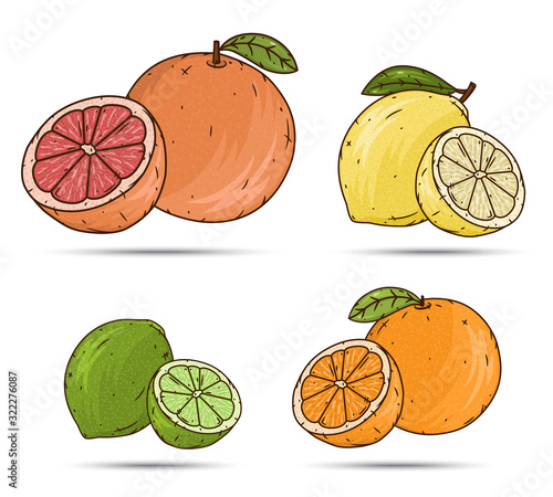 Vector set of citrus fruits (grapefruits, lemons, limes and oranges) isolated on a white background.