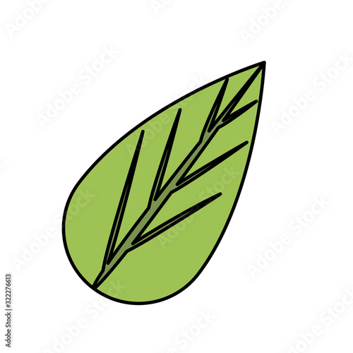 ecology leaf plant isolated icon