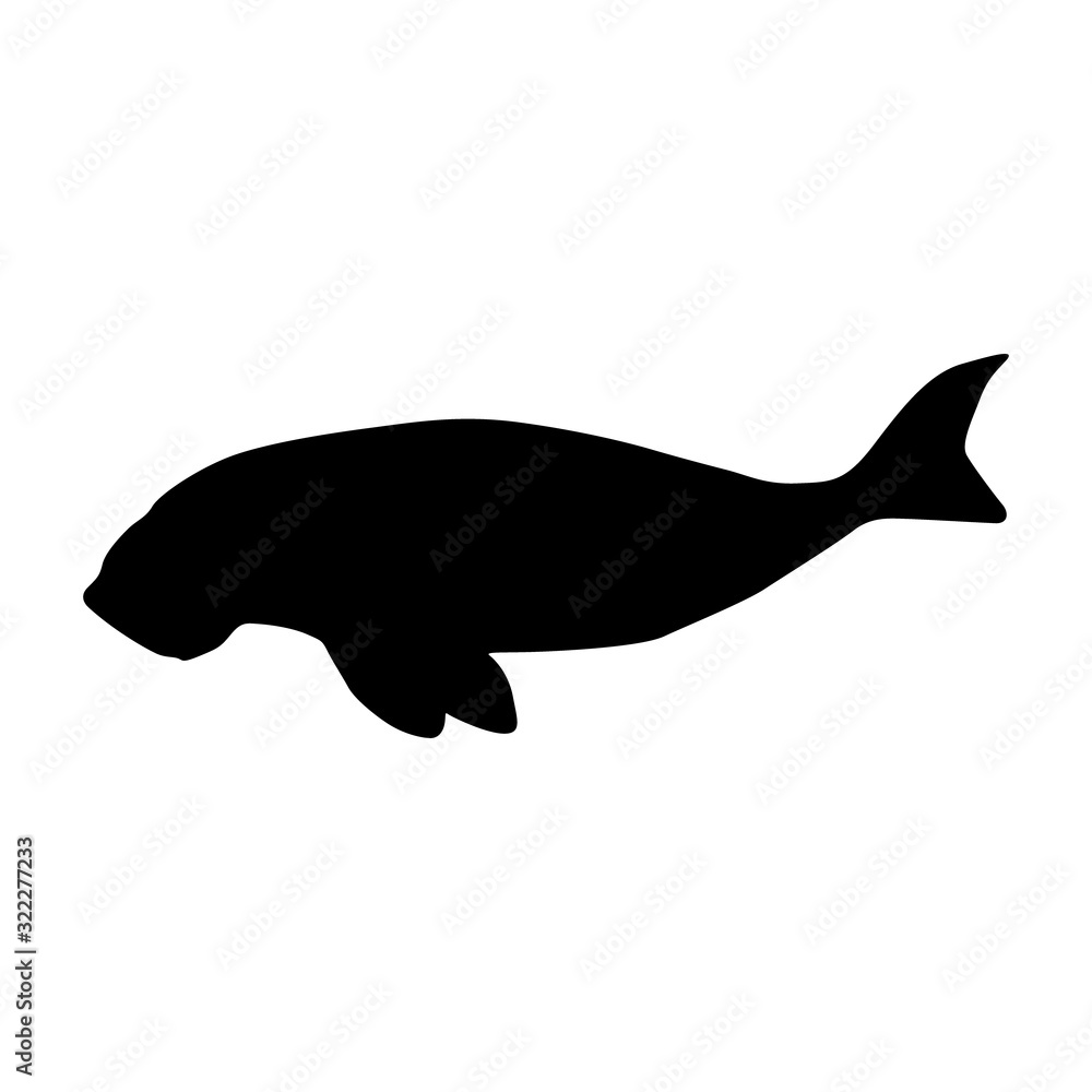 Fototapeta premium Dugong (Dugon Dugon) Silhouette Vector Found In Indonesian And Australia