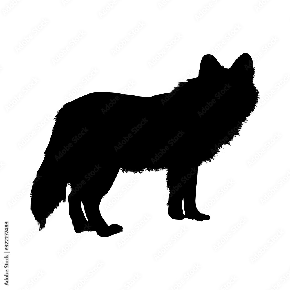 Dhole Dog (Cuon Alpinus) Silhouette Vector Found In Map Of Asia
