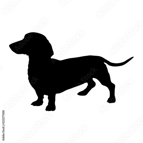 Dachshund Dog Silhouette Vector Found In Map Of Europe