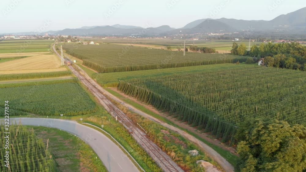 Aerial view of a beautiful green field during sunset in Slovenian valley Aerial view of a beautiful green field during sunset in Slovenian valley
