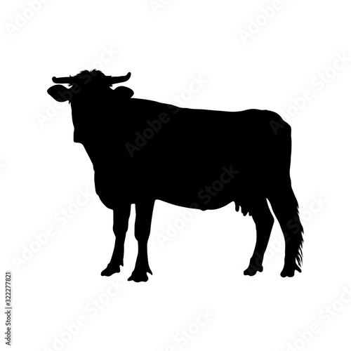 Cow (Bos Taurus) Silhouette Vector Found In Around The World