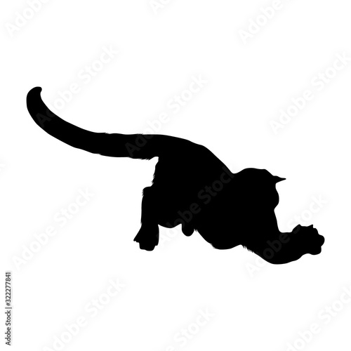 Cougar (Felis Concolor) Silhouette Vector Found In Map Of North America