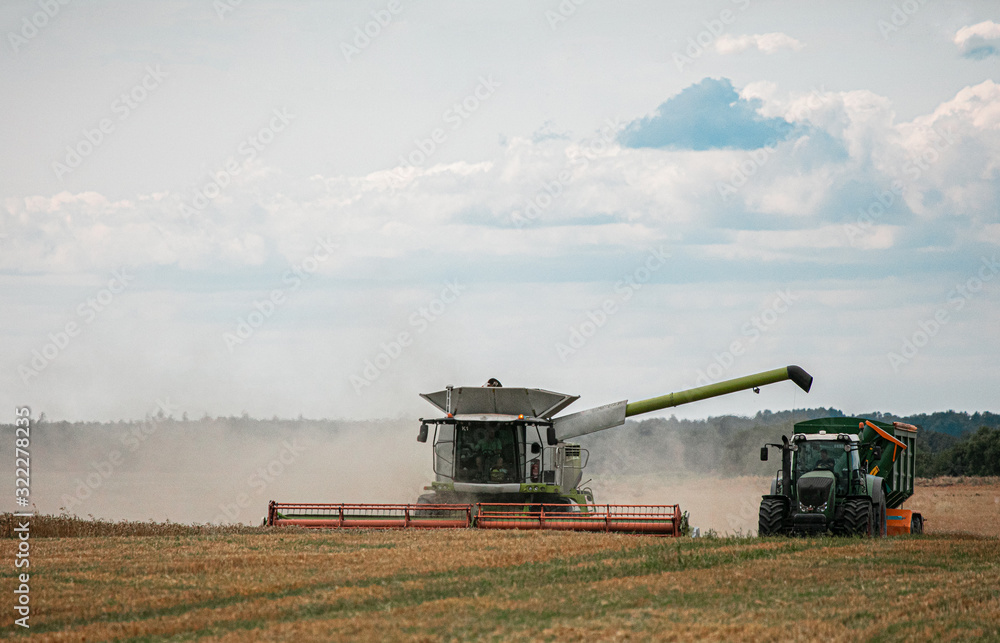 Fototapeta premium Cosechando grano en una cosechadora de campo