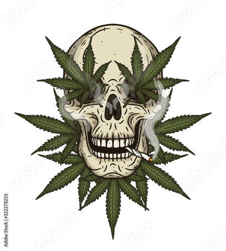 Rastaman skull with cannabis leafs. Vector illustration.