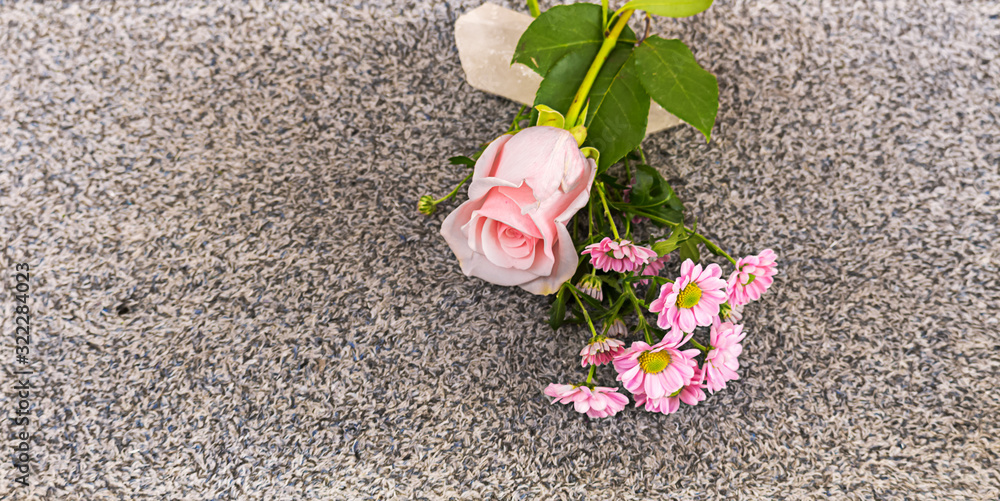 Rosarote Rose mit rosa Schnittblume Rosarote Rose mit rosa Schnittblume