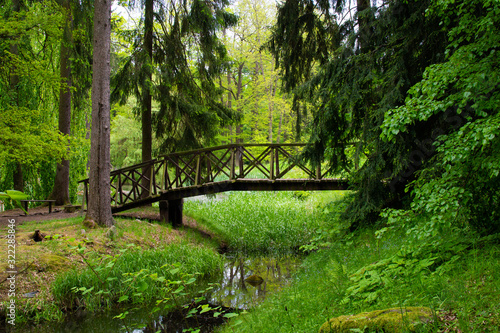 Small lake in a forest with trees and a bridge in Zamecky Park  in Hluboka nad Vltavou  Czech Republic 