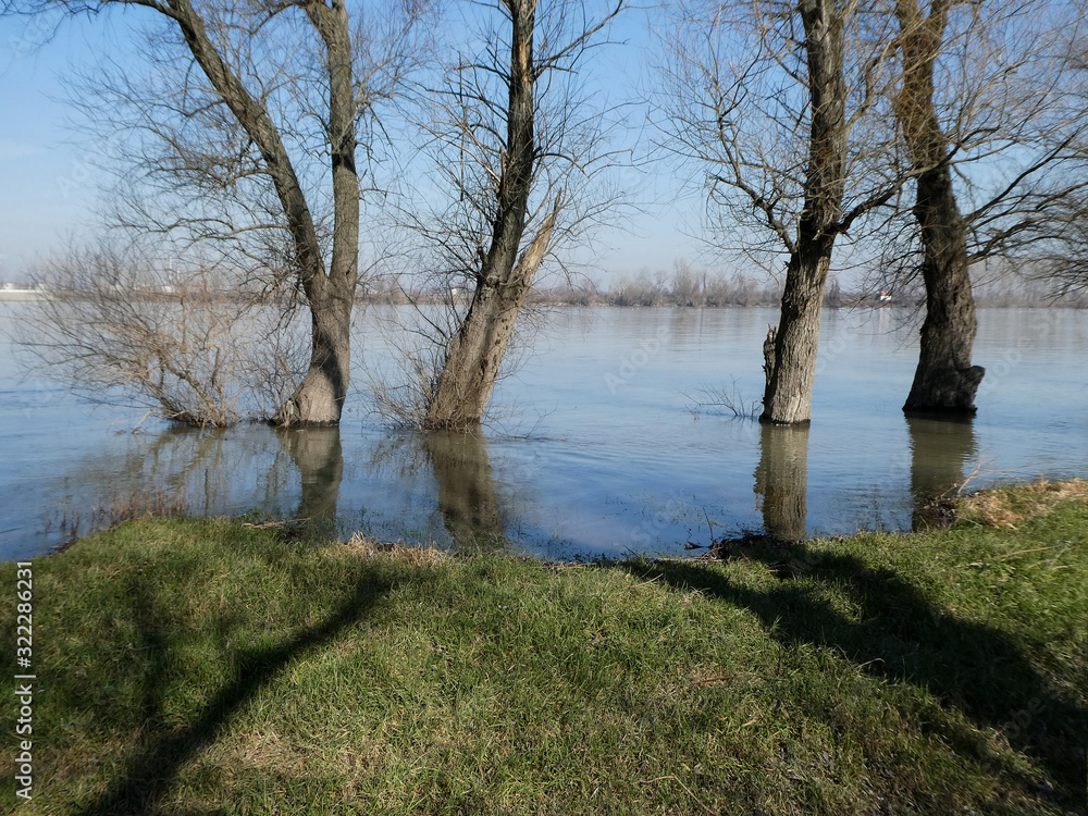 High water level of the river and flooded trees with shadows