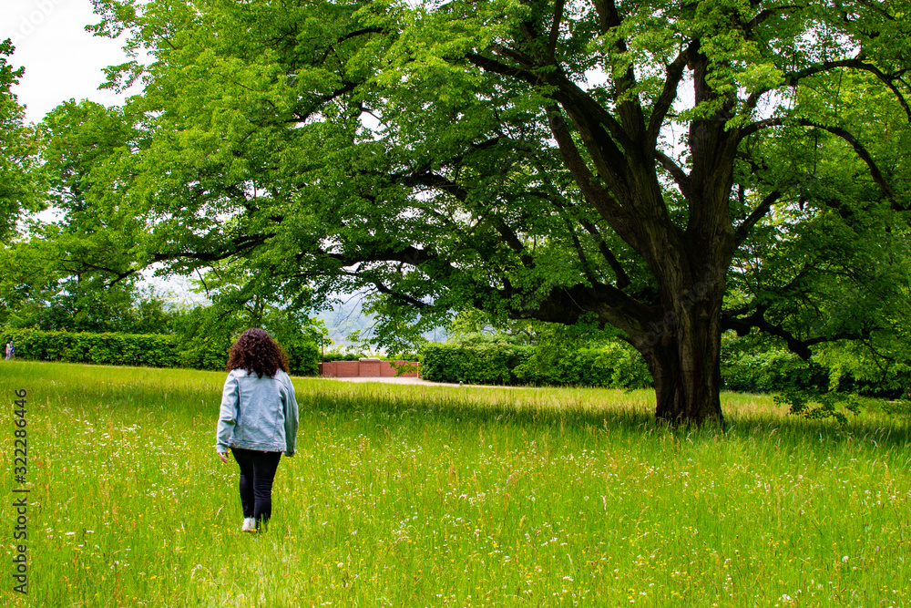 Girl walking on a meadow with green grass and a tree in Zamecky Park in Hluboka Castle (Hluboka nad Vltavou, Czech Republic) during spring season Girl walking on a meadow with green grass and a tree in Zamecky Park in Hluboka Castle (Hluboka nad Vltavou, Czech Republic) during spring season