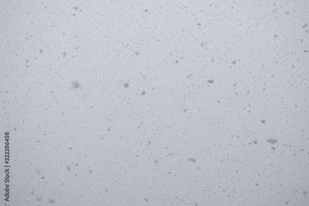 Snow falling from sky in winter, big snowflakes Snow falling from sky in winter, big snowflakes